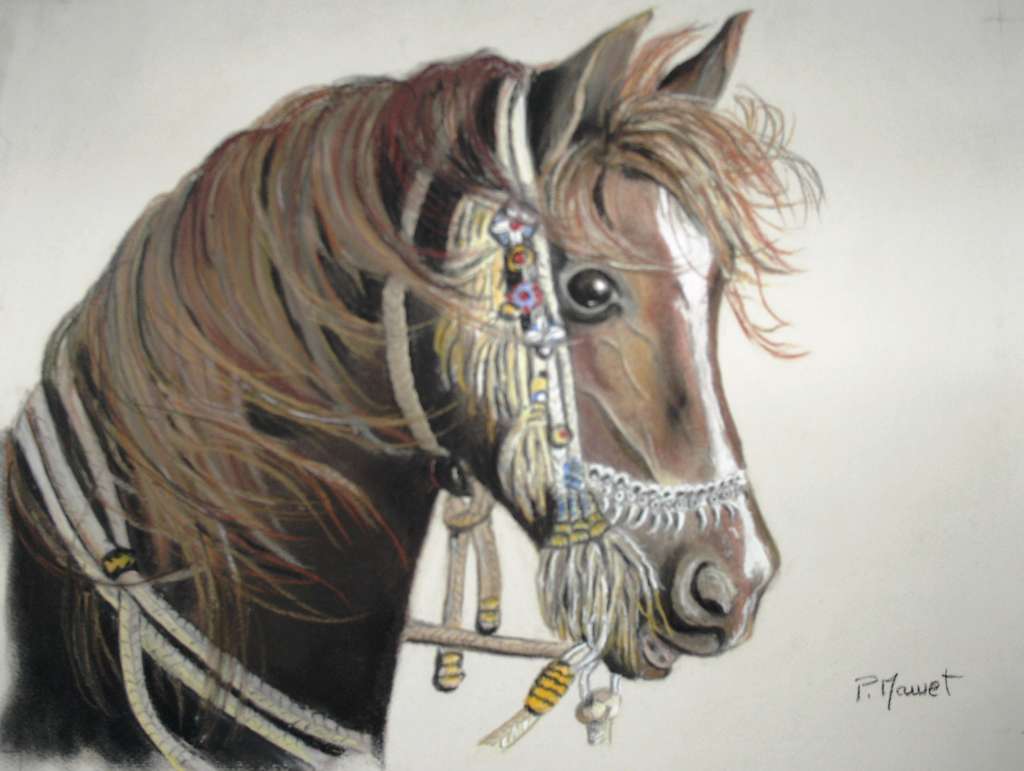 cheval arabe-