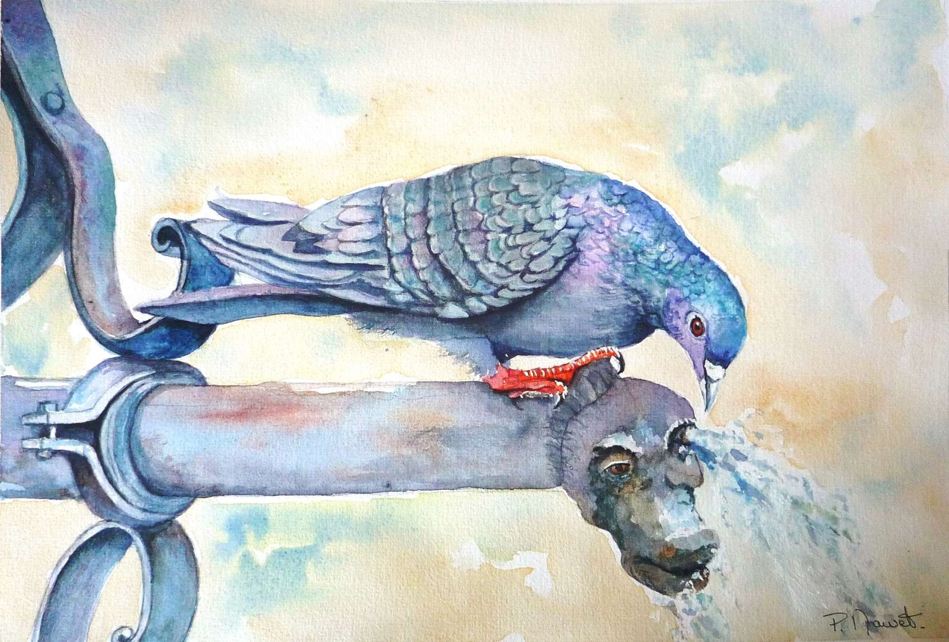Pigeon.